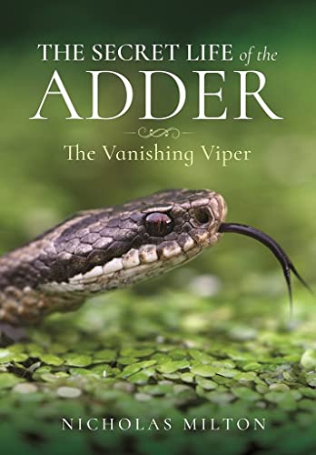The Secret Life Of The Adder: The Vanishing Viper