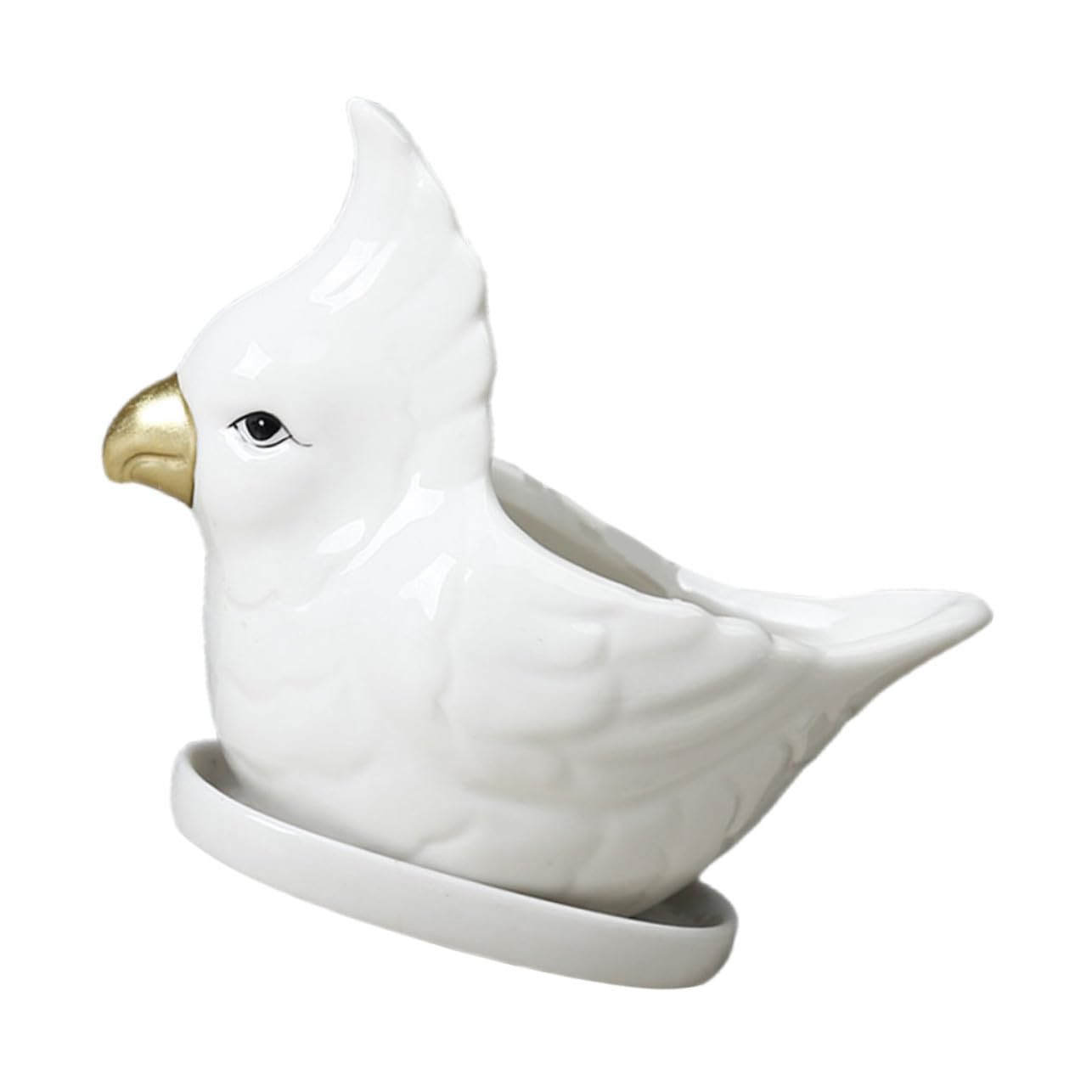 Jardinière succulent pour bureau : pot céramique blanc perroquet