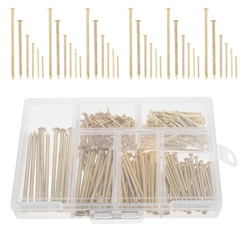 GRIRIW 300ACA~jelǊ|psN`[lC hCEH[Ήt[pǏpB