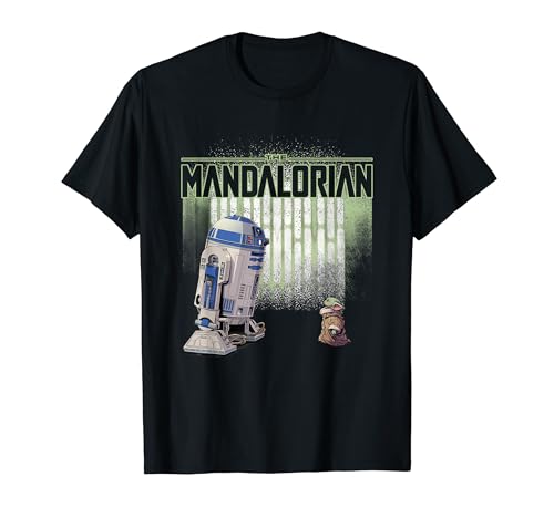 �X�^�[�E�E�H�[�Y:�}���_�����A��R2-D2&Grogu Face To Face T�V���c
