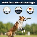 Nature Pet Sport Hand Gelenk Bandage für Hunde - geeignet für Rettungs- und Diensthunde oder Agility, Flyball und Hunde Frisbee (S)