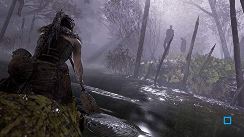 Hellblade: Senua's Sacrifice [Importación francesa]