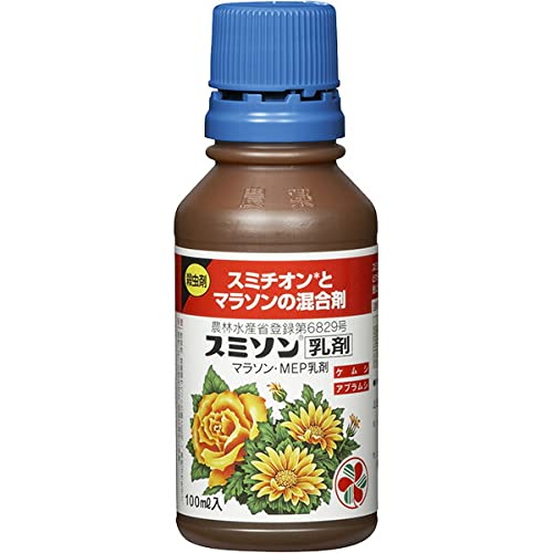 ZFw| X~\ X~`Iƃ}\̍100ml×10{