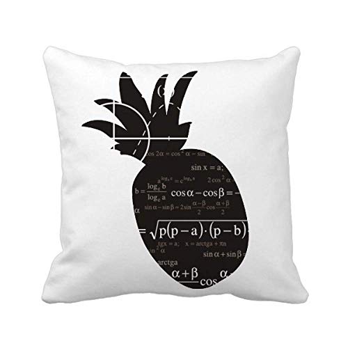 Coussin Courbe Graphiques mathématiques carré motif Pineapple pour déco salon - 2