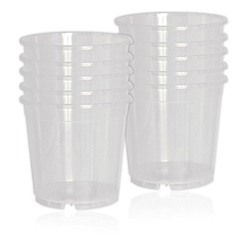 Geli Lot de 10 pots à orchidées 15 cm 1,7 l Transparent