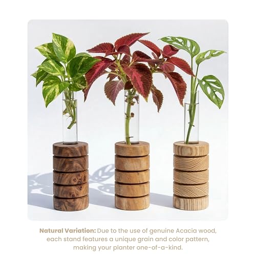 Image of Pilwal's Grooved Wooden Test Tube Vase | Big Test Tube Design for Cuttings & Hydroponics | Minimalist Wooden Planter | Modern Flower Stand | Unique Home Office Decor Gift. (Grooved Design)