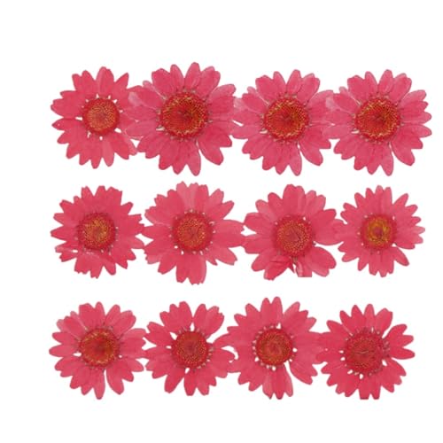 LZWNBX VRhCt[ ԃZbgi48jWp[c lCԍ DIY H|ޗ n[oEEtHgt[Evp EeE@ q DIY ubN}[Nf (}12)