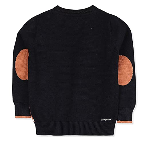 Image of Kids Boys Round Neck Full Pullover Sweater