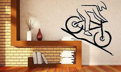 Large Wall Vinyl Sticker Decal Mountain Bike Racer Rugged Terrain Competition (n270) White