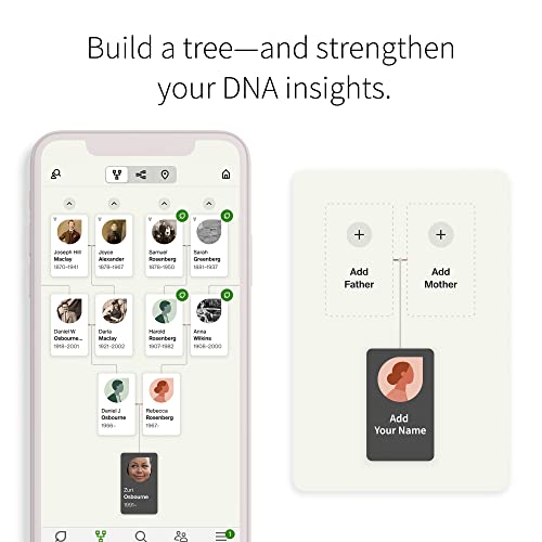 Ancestrydna: Genetic Ethnicity Test + 3-Month Ancestry World Explorer Membership… #TOP4
