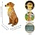 COWOS Solar Dog Statue with Glowing Bone, Golden Retriever Dog Statues for Outdoor Garden Decor, Weatherproof Dog Figurines and Pet Memorial Gift