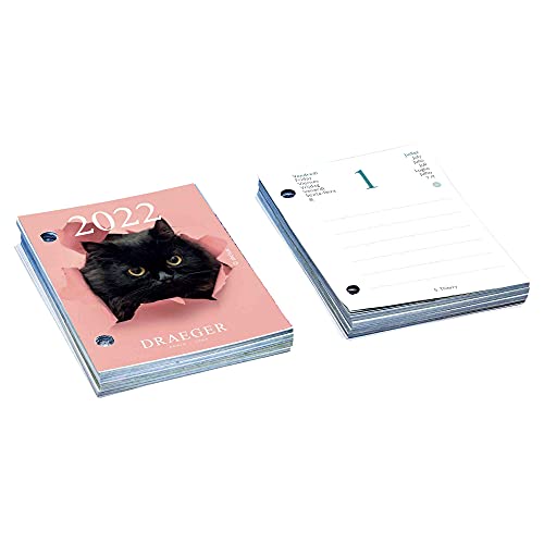 Draeger Paris – navulverpakking voor afsprakenplanner Yvon katten 2022 - Image 3