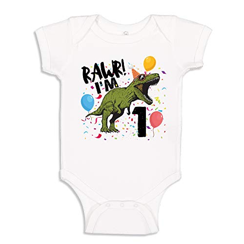Rawr I'm One 1st Birthday Dinosaur Shirt or Bodysuit One Piece for Baby Boy/Girl Turning 1 Years Old Outfit