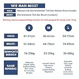 Spark Paws No Pull Hundegeschirr Grosse Hunde, Halterdesign mit Frontclip, Y Geschirr Hund, Robust und Strapazierfähig Harness für Große und Starke Rassen - 90s Retro, L