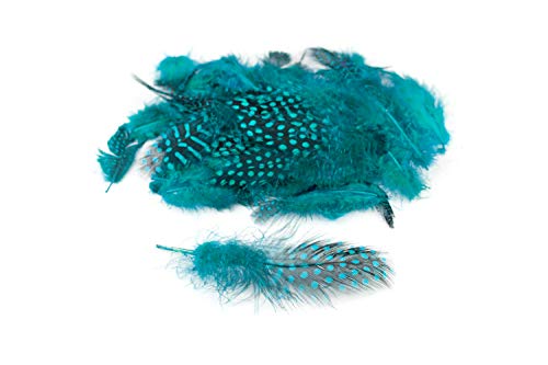 Federset Für Angelfliegen UK Hergestellt 15 Marabou-Federn Von Gordon Griffiths – Ideal Zum Fliegenbinden Für Angler Federn Braun