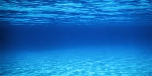 60x24inches Aquarium Background Blue Ocean Under The Sea Scene Backdrop