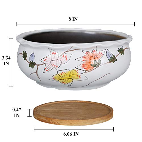 G Epgardening 8 Inch Large Round Succulent Planter Pot Succulent Planter Pot With Drainage Hole Round Shallow Bonsai Planter Pot With Bamboo Saucer Round Flower Plant Pot For Indoor Plants White #TOP1