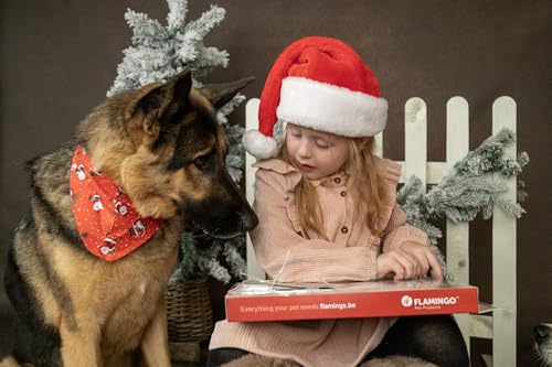 Adventskalender Hund – Nature Snack – 24 natürliche Leckerlis – glutenfrei – ohne Zuckerzusatz – Flamingo