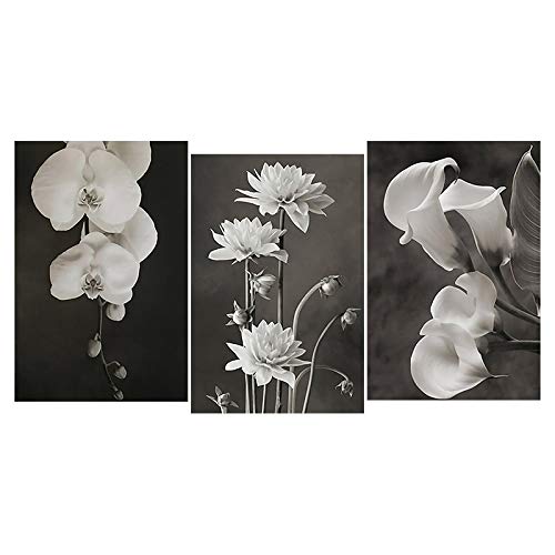Photos murales noir et blanc de fleurs décoration murale triptyque scandinave