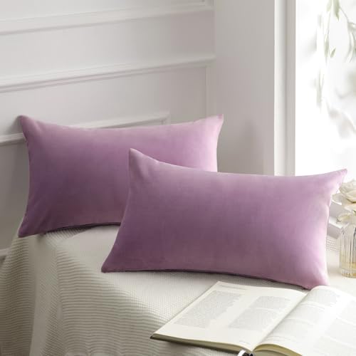 Phantoscope Pack of 2 Velvet Decorative Throw Pillow Covers Soft Solid Square Cushion Case for Couch Light Purple 12 x 20 inches 30 x 50 cm