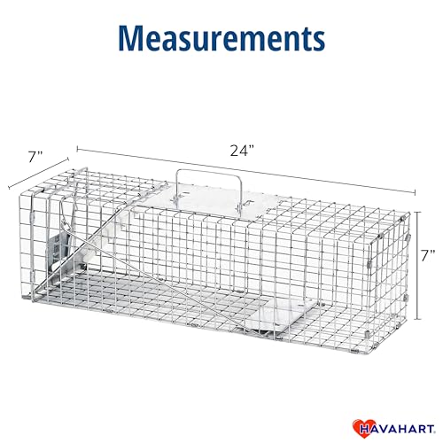 Havahart 1078 Live Animal Professional Style with 1-Door Squirrels and Rabbits Cage Trap