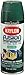 Krylon K02324001 Fusion for Plastic, Hunter Green, Gloss, 12 ounce