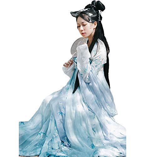 Hanfu Kleid, Vintage bestickte Hanfu chinesische Kleid für Frauen Langarm, für Party Fotoshooting Kleidung Cosplay Dance Kostüme Cover