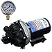 Everflo EF5500 12V Demand Diaphragm Pump with 100 PSI Pressure Gauge (Bundle, 2 Items)