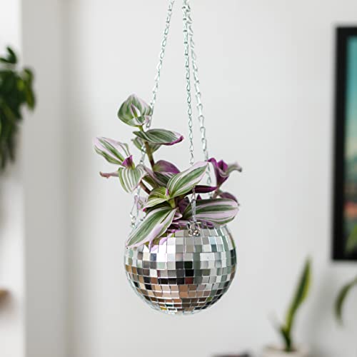 Maceta colgante de bola de discoteca (6 pulgadas), macetas colgantes para plantas de interior, disponible en tamaños de 4 pulgadas, 6 pulgadas y 8 pulgadas Cover
