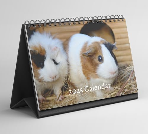 Guinea Pigs Desk Calendar 2025-2026: Standing Flip Desktop Calendar with Thick Paper (15.25cm x 22cm - similar to A5)