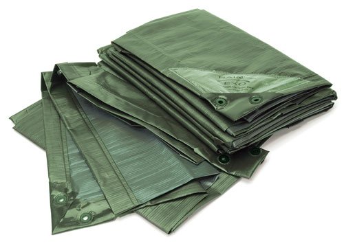 Bio Green Lona RX90-3X4-G Rainexo, 3 x 4 m, 90 g/m², Incluye Ojales