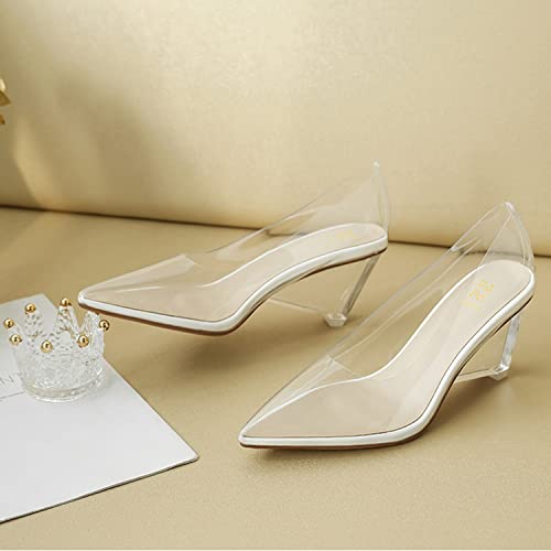 LEHOOR Women Clear Wedge Heel Pumps Pointed Toe Transparent Wedge Heels Slip On Sexy Dress Wedges Shoes Sandals Pointy Closed Toe Fashion Party Evening Wedding High Heels 3 Inch Size 8 M US3