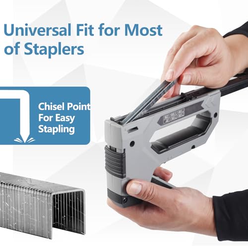 Image of Heavy Duty T-50 304 Stainless Steel Staples 2184-Count 5 Sizes | Sizes: 1 /4 inch, 5 /16 inch, 3 /8 inch, 1 /2 inch, 9 /16 inch Assorted Size Project Pack fit Pneumatic & Electric T50 Stapler for Outdoor Decoration