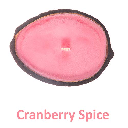 Holiday Scented Candles In Real Coconut Shell, Set Of 3 | Clean Burning Soy & Coconut Wax With Cotton Wick, 15 Hour Burn Time | Gingerbread, Cranberry Spice, And Pine | Fall Christmas Candles For Home #TOP28
