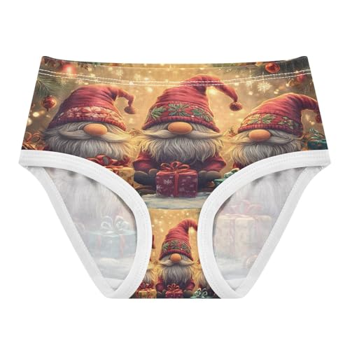 Christmas Three Gnomes Toddler Girls's Underwear 2T 202b8637