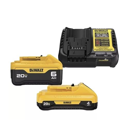 DeWalt 20V MAX Starter KIT