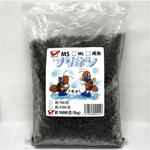 �y�W�y�t�@�[���z�y�N�[���֔����z�Ⓚ�t�^�z�V�R�I���M(�`���R�I���M) MS�T�C�Y �P����(��10000�C����)