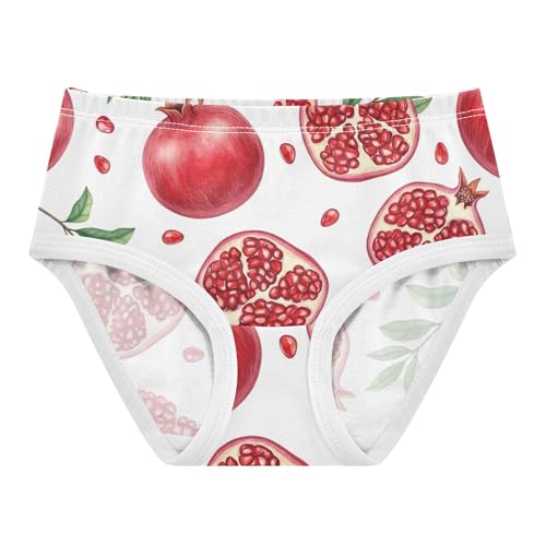 Animals Toddler Underwear Floral 2t Cotton Girl Panties Cute Watercolor Pomegranate Fruits Undies Kids Briefs