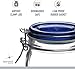 Bormioli Rocco Fido Square Jaw with Blue Lid, 33-3/4-Ounce, 33.75 Ounce, Clear