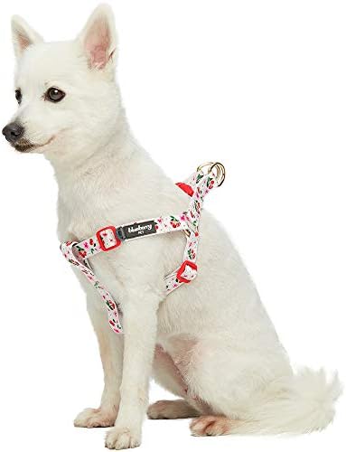 blueberry harness amazon