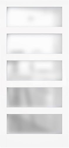 ARKHJEM Puerta corrediza de bolsillo, 30 x 80 pulgadas, 5 paneles individuales para armarios e interiores, necesidad de montar, color blanco (no