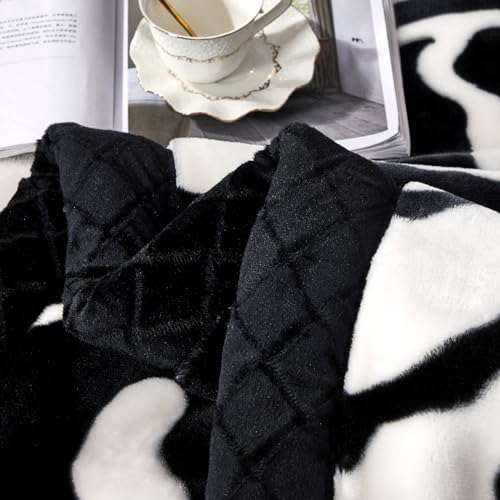 LGYKUMEG 6Lb Korean Mink Blanket Twin Size 70×85 inch - 2 Ply Korean Mink Blanket for Cold Night (180×220cm3kg).