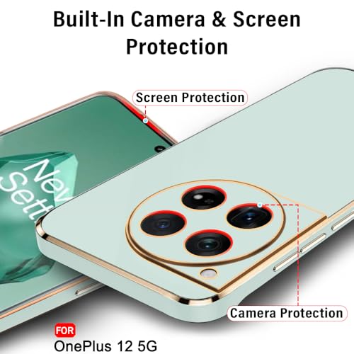 Image of TheGiftKart Luxurious Golden-Plated Back Cover Case for OnePlus 12 5G | Raised Lips for Camera & Screen Protection | Shockproof Design | Stylish Back Cover Case for OnePlus 12 5G (TPU, Green)