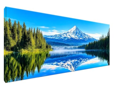 C yCg oC io[Y Lbglp S Paint by Numbers R DIY G 50x100cm hGh |LbgAcrylic Paint yCgoCio[G |pH|i, nEB , Mtg Y2