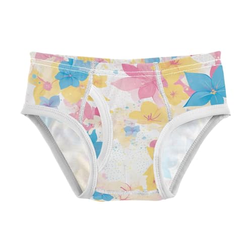 Mardi Gra with French Lily Toddler Boys' Comfort Kids Underwear Breathable Children Undies