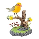 Photo Gallery lzvmlnqi suono controllo uccello simulazione uccello portapenne design giocattolo regali regalo 506ay Photo Gallery lzvmlnqi suono controllo uccello simulazione uccello portapenne design giocattolo regali regalo 506ay