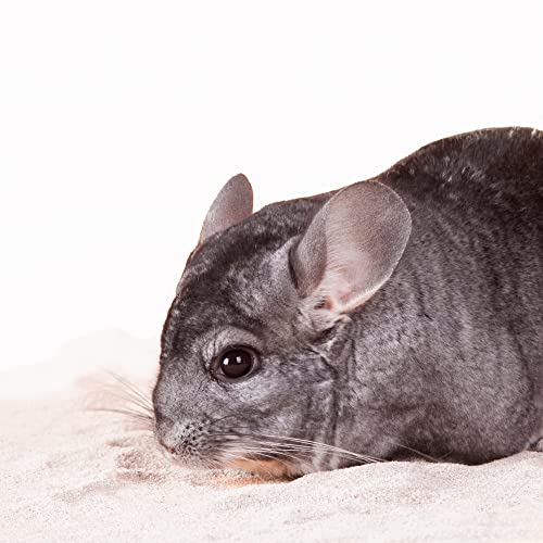 beaphar Care+ Badesand 1,3 kg