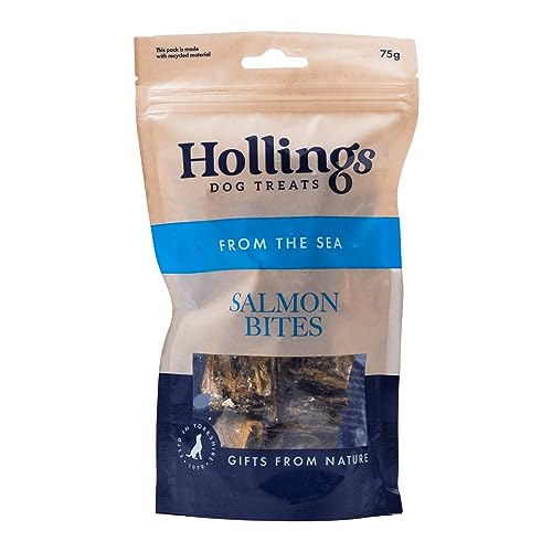 Hollings Salmon Bites Dog Treats 100% Natural with Fresh Fish Air Dried Treats for Dogs Hypoallergenic and Grain Free 75g
