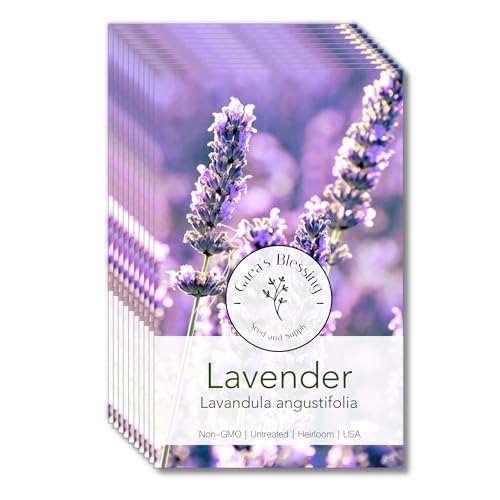Gaea's Blessing Seeds - English Lavender Seeds - Heirloom Non-GMO Seeds with Easy to Follow Instructions - Vera True Lavender Heirloom - 91% Germination Rate (Pack of 10)