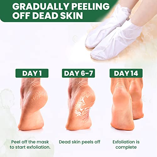 Image of Azah Foot Mask Peeling Feet Mask [Pair of 2] | Korean Foot Peel off Mask for Cracked Feet | Peeling and Exfoliating | Legs care at Home | Exfoliating Sheet for Home | Tea Tree Sheet